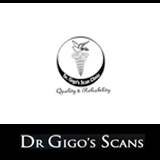Dr. GIGO SCANS